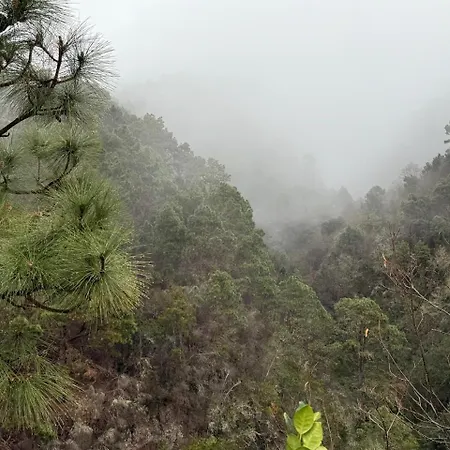 De La Montana -