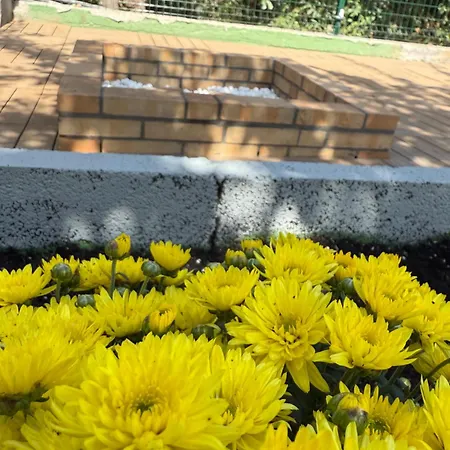 De La Montana - Santa Cruz de Tenerife